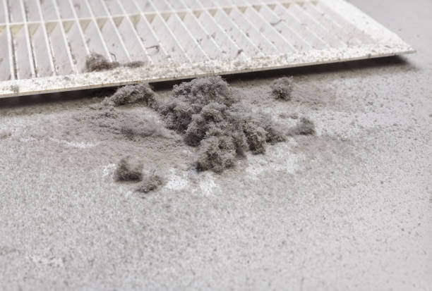 Best Best Air Duct Cleaning Company  in Portage, PA