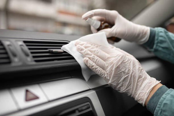 Best Air Duct Mold Removal  in Portage, PA