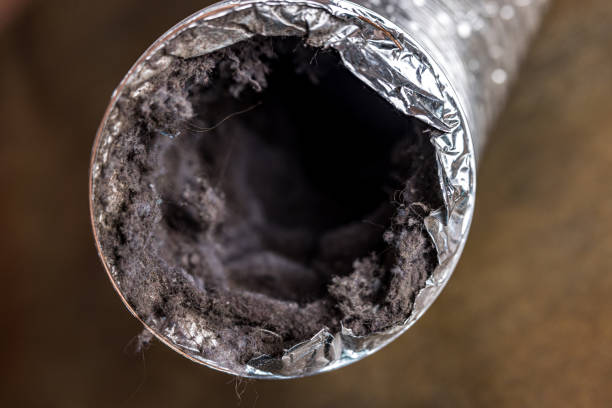 Best Air Duct Cleaning Near Me  in Portage, PA
