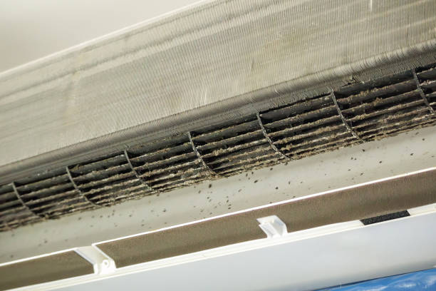 Best Air Duct Sanitizing Services  in Portage, PA